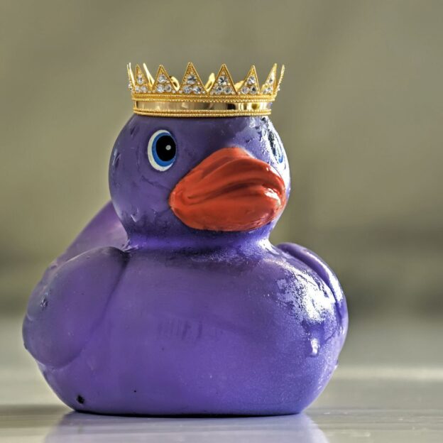 Treat your guests like RoyaltyTreat your guests like Royalty