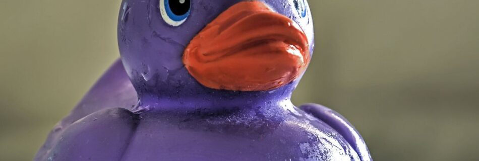 Treat your guests like RoyaltyTreat your guests like Royalty