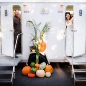 Planning your dream wedding