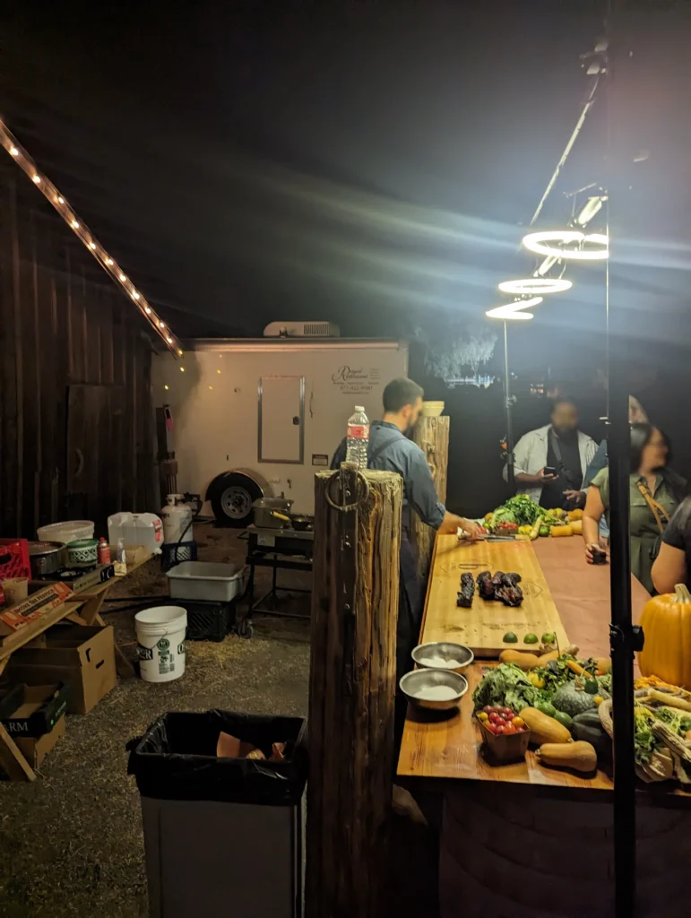 Festival Restroom Planning for a Wine Festival or Food Festival: Comfort, Convenience, and the Ultimate Attendee Experience