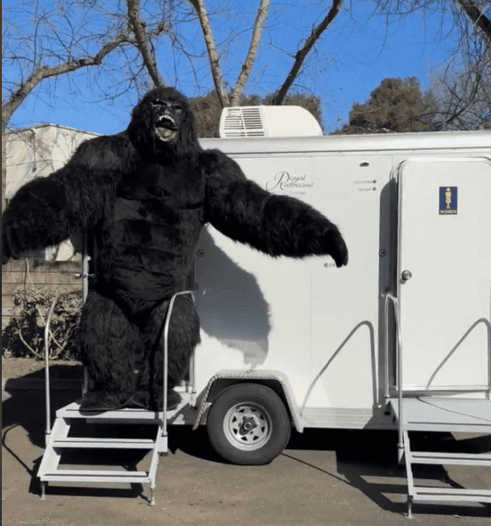 San Diego Comic-Con Survival Guide: Master Hall H, Restroom Etiquette, and Convention Logistics Like a Pro